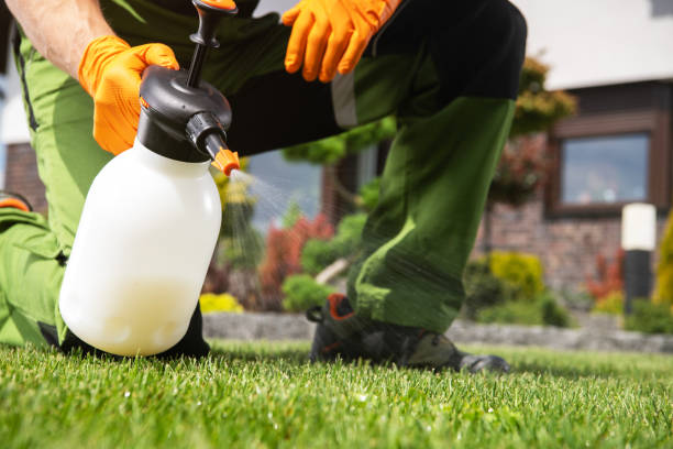 Best Best Pest Control Companies  in Salida, CO