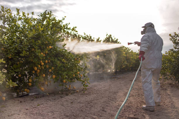 Salida, CO Pest Control Company