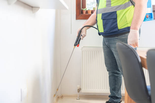 Best Termite Control Services  in Salida, CO