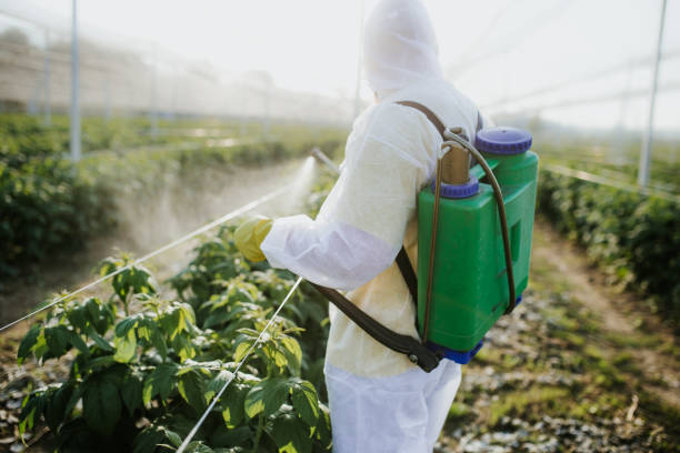 Best Pest Control Near Me  in Salida, CO